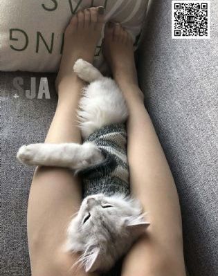 日本红怡院在线_BD韩语BD在线观看